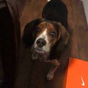 Meet your Posher, Fernanda